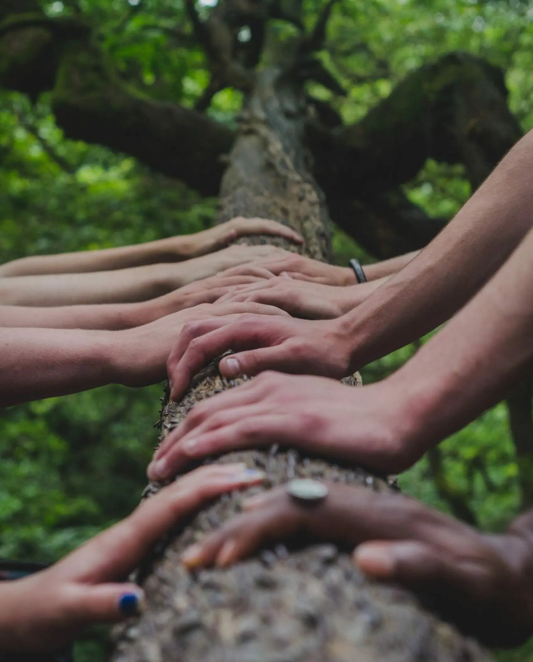 tree-trunk-hands
